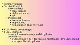 Renal Pharmacology [upl. by Charlean]