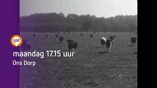 Dorpsfilm van Breedenbroek in 1970  25 maart TV Gelderland [upl. by Lari]