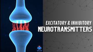 Excitatory and Inhibitory Function of Neurotransmitters  Synapse  Dr Krunal Dabhi [upl. by Enilegnave]