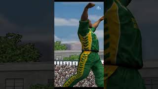 Makhaya Ntini Hat Trick Against Australia  HD Graphics  Retro Gaming  EA Cricket 07 [upl. by Busby521]