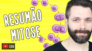 RESUMO sobre MITOSE  Biologia com Samuel Cunha [upl. by Vincents624]