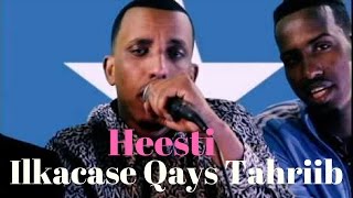 Hees Cusub  Tahriib By Ilkacase Qays Official Video [upl. by Etsirhc]