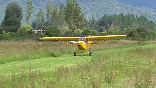 Murrays Zlin Savage Cub Landing at Ngahere [upl. by Hogle76]