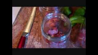 MAKING HOMEMADE WINE  HOMEMADE Persimmon Wine [upl. by Eno368]