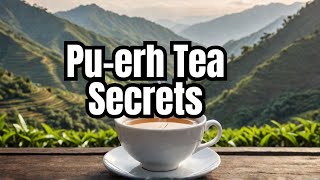 Exploring Puerh Tea History and Health Benefits [upl. by Studner481]