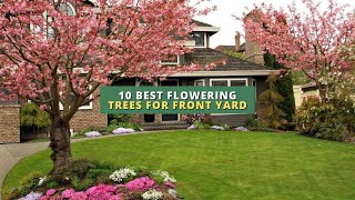 10 Best Flowering Trees for Front Yard 🌳🌸🏠 [upl. by Arica]