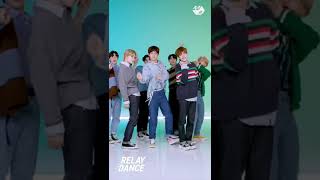 Best Enhypen replayed dance relay [upl. by Leinaj]