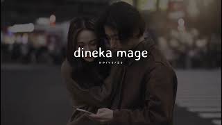 Dinaka Mage  දිනෙක මගේ perfectly slowed [upl. by Ibok]