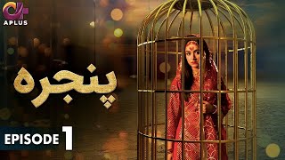 Pakistani Drama  Pinjra  Episode 1  Aplus Gold  Yumna Zaidi Nauman Aijaz  CZ2O [upl. by Nilo]