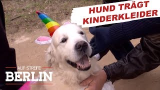 Warum trägt ein Hund die Kleider eines vermissten Mädchens  Auf Streife  Berlin  SAT1 TV [upl. by Perpetua]