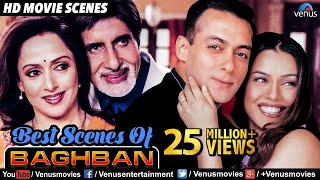 Best Scenes Of Baghban  Hindi Movies  Best Bollywood Movie Scenes  Amitabh Bachchan Movies [upl. by Elke]