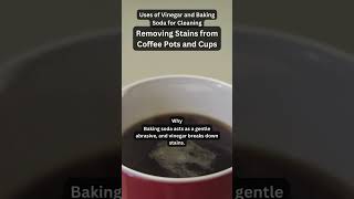 Remove Coffee Stains with Baking Soda and Vinegar [upl. by Shellans]