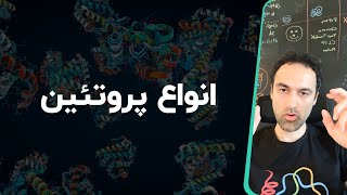 انواع پروتئین ها [upl. by Acnayb316]