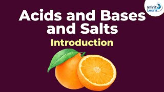 Acids and Bases and Salts  Introduction  Chemistry  Infinity Learn [upl. by Adabelle769]