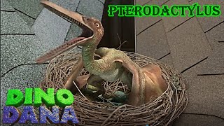 dino dana pterodactylus screen time [upl. by Leizahaj626]