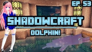 Dolphin  ShadowCraft  Ep 53 [upl. by Feld]