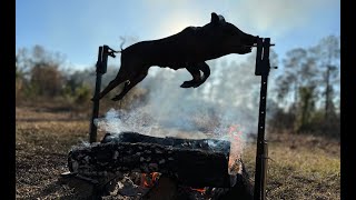 Wild Pig Hunt And Rotisserie Over the Fire SO GOOD [upl. by Papke]