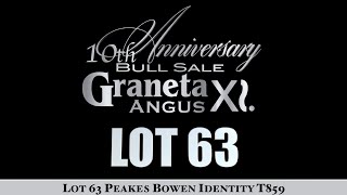 Lot 63 Peakes Bowen Identity T859 [upl. by Ttoille3]