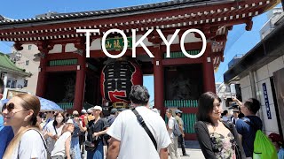 Stroll along Nakamisedori in Asakusa Tokyo [upl. by Hewet1]