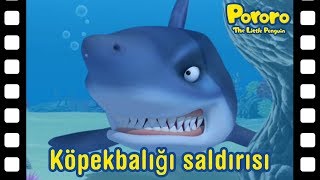 Köpekbalığı şaldırışı  Kısa film animasyon  Pororo türkçe  Pororo turkish [upl. by Ananna]