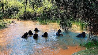 What A Camera Captured In The Philippines Shocked The Whole World [upl. by Dalenna]