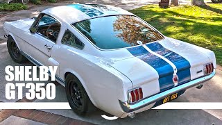 LOUD Shelby GT350 Screaming Through the Canyons [upl. by Sone]