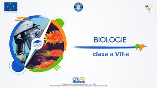 Particularități ale organelor de simț la vertebrate – particularități ale vederii [upl. by Cammy]