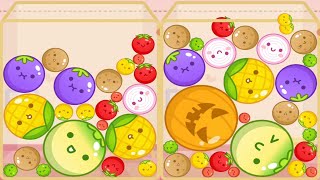 Fruit Merge  Fruit Crush Watermelon Drop Game Suika Game Ep 40 [upl. by Led]