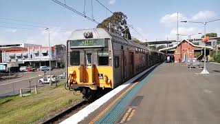 Sydney Trains Lakemba Station [upl. by Nagle]