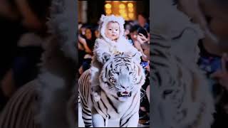 Cutest Baby Modeling Show with animal [upl. by Vine364]