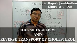 12 HDL Metabolism and Reverse Transport of Cholesterol [upl. by Hselin]