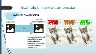 SSP G10 Computer Science U1 Data Storage amp Compression Part 2 [upl. by Ecirtnahs]