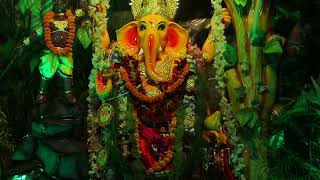 Best Ganapati festival in Kolkata with a jungle theme [upl. by Sipple]