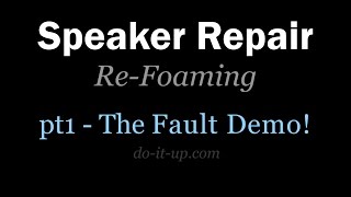 Speaker Foam Repair amp Replacement Part 1  Failure Demo [upl. by Tenay]