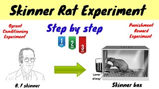 Skinner Rat experiment  Oprent Conditioning  Punishment amp Reward  hindiurdu [upl. by Nitsraek]