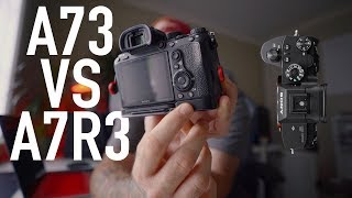 A7III vs A7RIII  Answering Your Question Why I chose the A7R3 over the A73 [upl. by Nannette90]