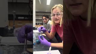 Dilution Video Chem Lab [upl. by Madonia]