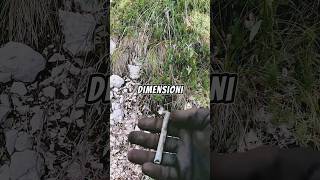 I pericoli del metaldetecting nella militaria ww2 ww1 relic danger relic archeology war [upl. by Uhp912]