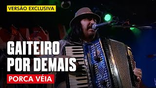 GAITEIRO POR DEMAIS  PORCA VÉIA AO VIVO  CLIP DVD [upl. by Vidovic]