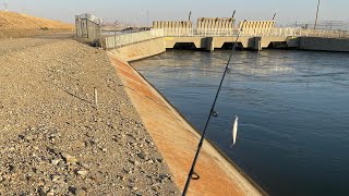 California Aqueduct fishing [upl. by Ardnaxela]