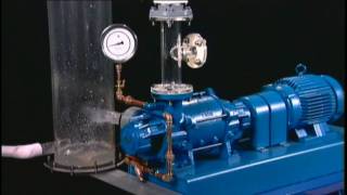 NASH Liquid Ring Vacuum Pump Reliability [upl. by Mellins]