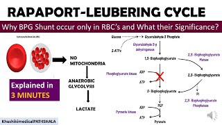 Why BPG shunt occur only in RBCs and their significance explained in 3 मिनट [upl. by Sidwel300]