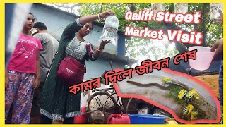 GALIFF STREET FISH MARKET KOLKATA । Galiff Street AQUARIUM Price ।Visit 23 June 2024 [upl. by Winer]