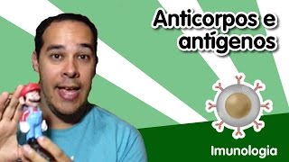 Imunlogia 6  Anticorpos e antígenos [upl. by Meluhs]