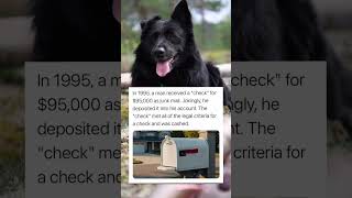 A Man Received A Check For 95000 As Junk Mail Doggo [upl. by Athiste]