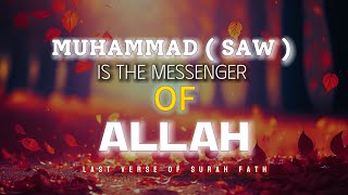 LAST VERSE OF SURAH FATH  MUHAMMAD SAW IS THE MESSENGER OF ALLAH  BEAUTIFUL RECITATION تلاوة جميلة [upl. by Camus]