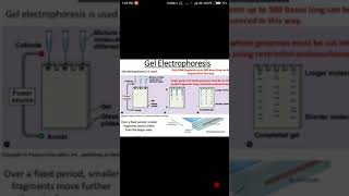 Agarose gel electrophoresis in hindi  Biology solution [upl. by Aryam120]