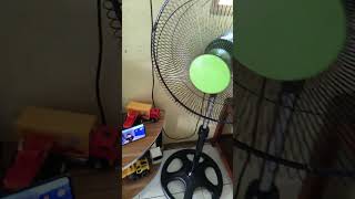 noisy cosmos green stand fan [upl. by Crandale]