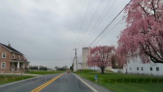 Scenic Drive Morgantown Lancaster County PA to Stevens PA Amish Farms Springtime [upl. by Wilson156]