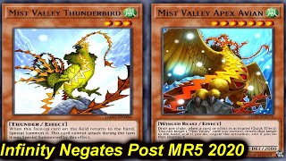 【YGOPRO】INFINITY NEGATES DECK 2020  POST MASTER RULE 5 [upl. by Ultan]